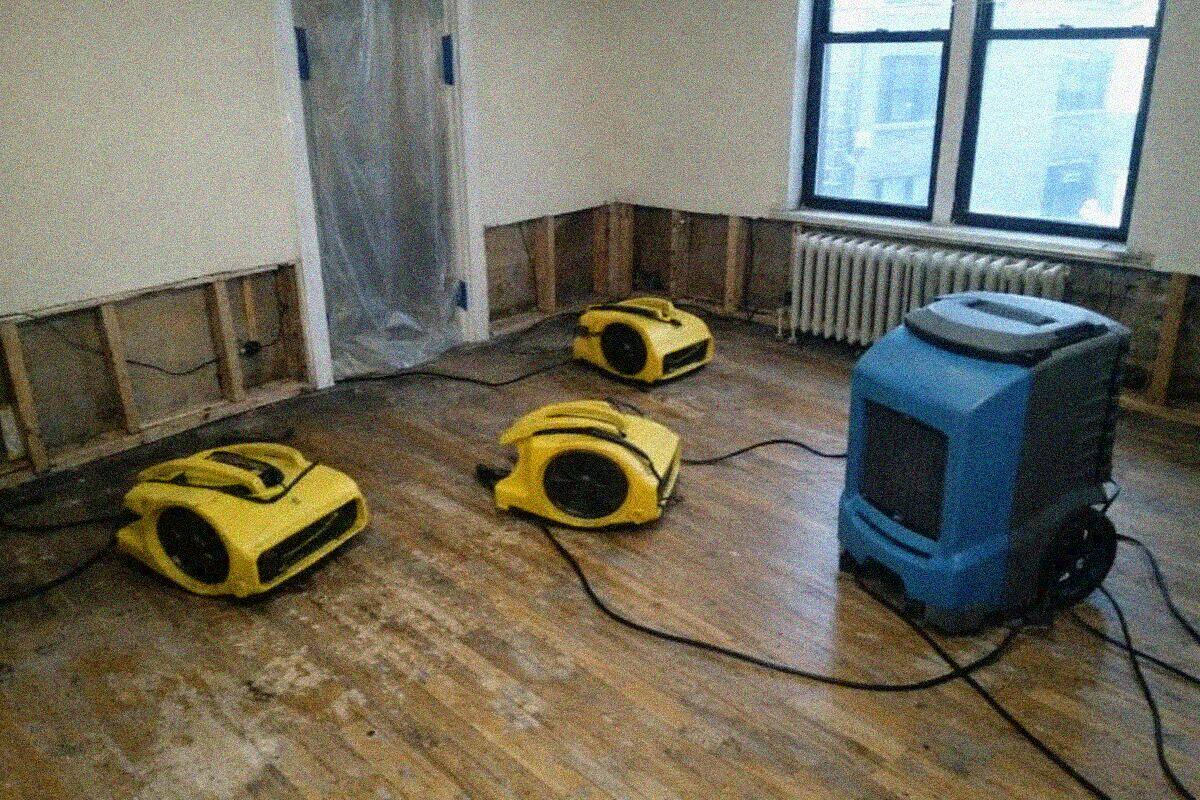 Air movers and a dehumidifier running in a stripped New York apartment living room with baseboards removed